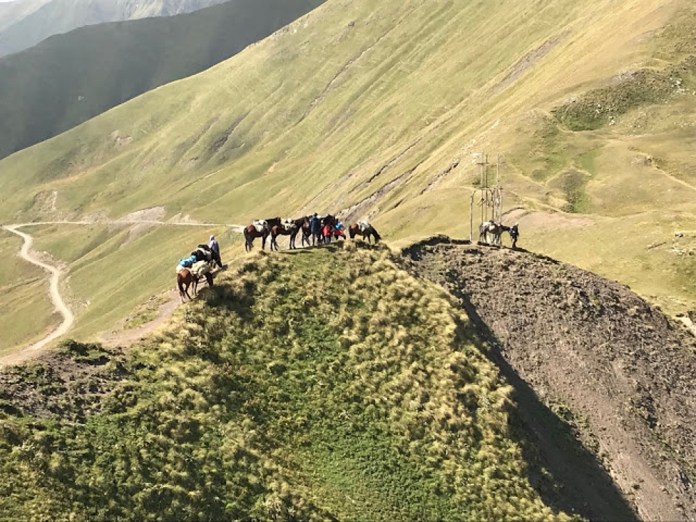 Reiten auf Kabardinern in Georgien