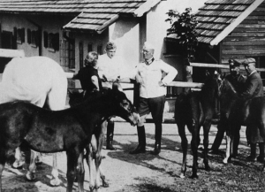 Kabardiner und die Rettung der Lipizzaner